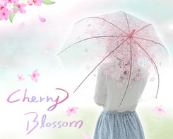 벚꽃 우산
